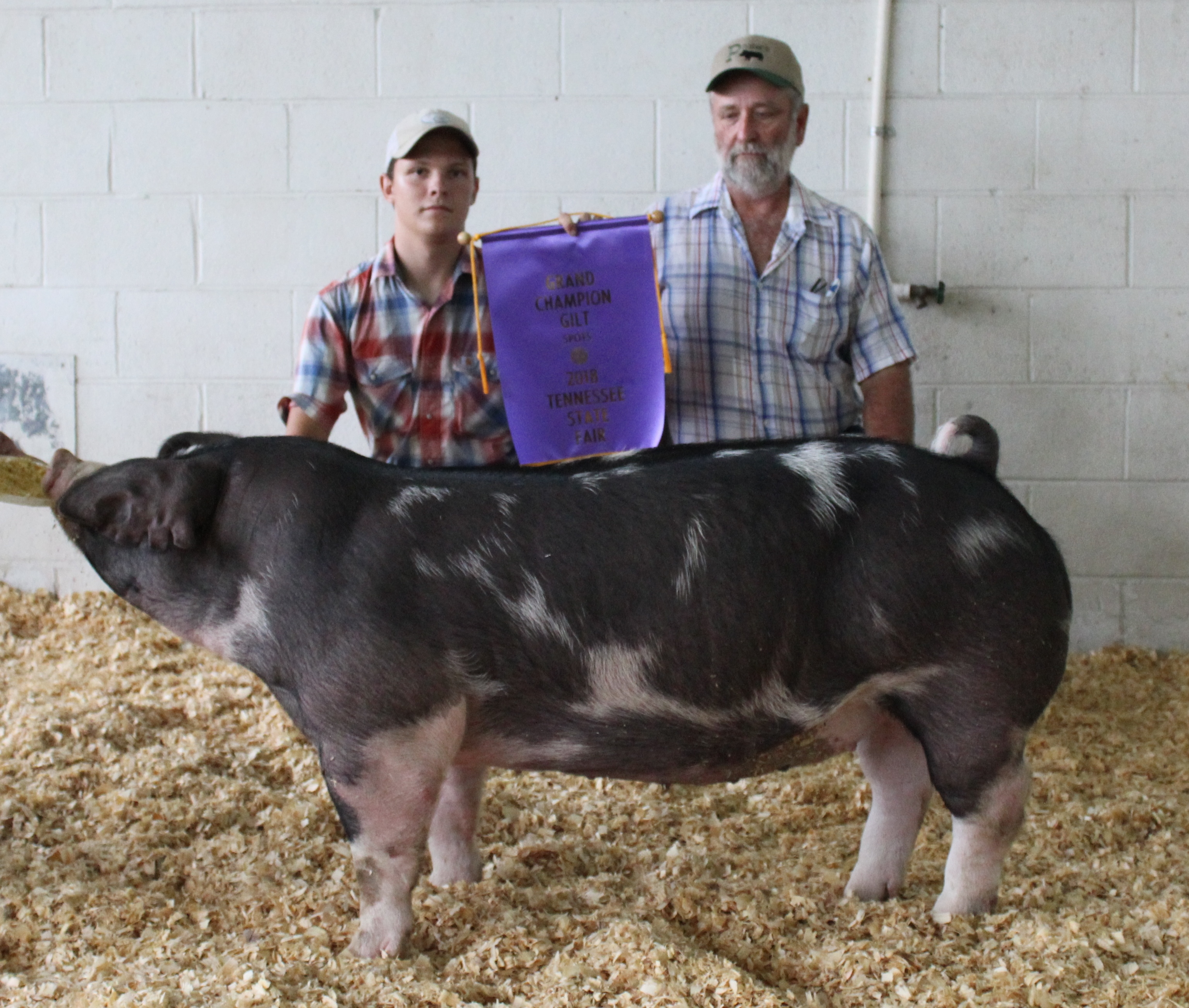 Hunter Curland
2018 Tennessee State Fair
Champion Spot Gilt