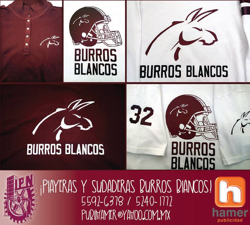 https://0201.nccdn.net/1_2/000/000/0e3/7e3/burros2.jpg