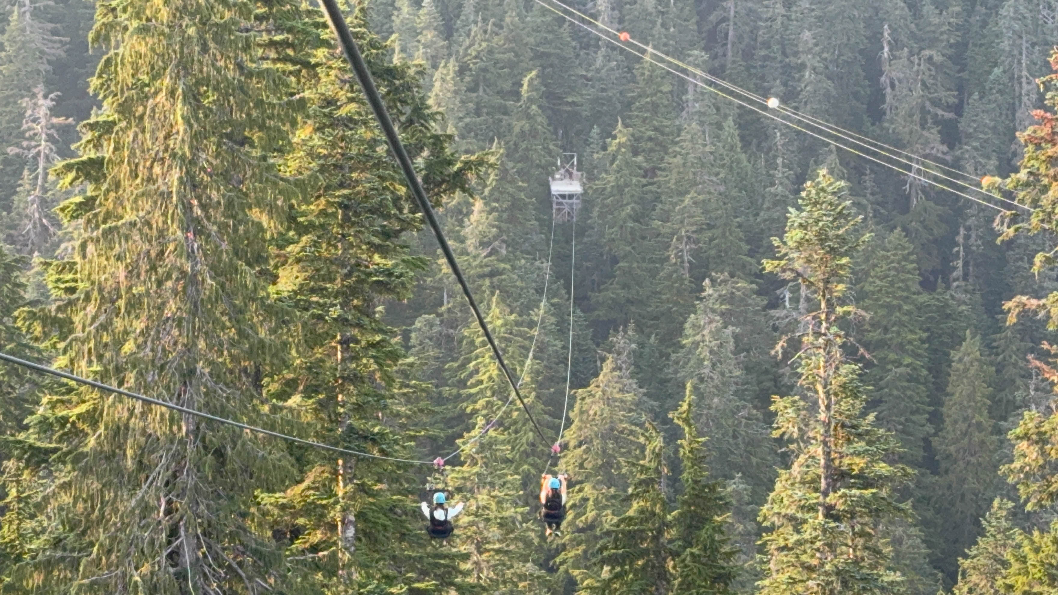 https://0201.nccdn.net/1_2/000/000/0e3/825/vancouver-order-151.jpg