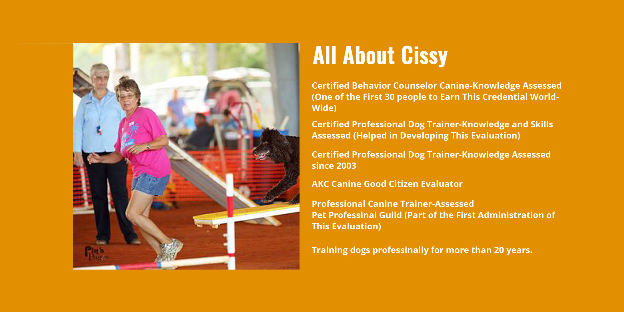 akc training results