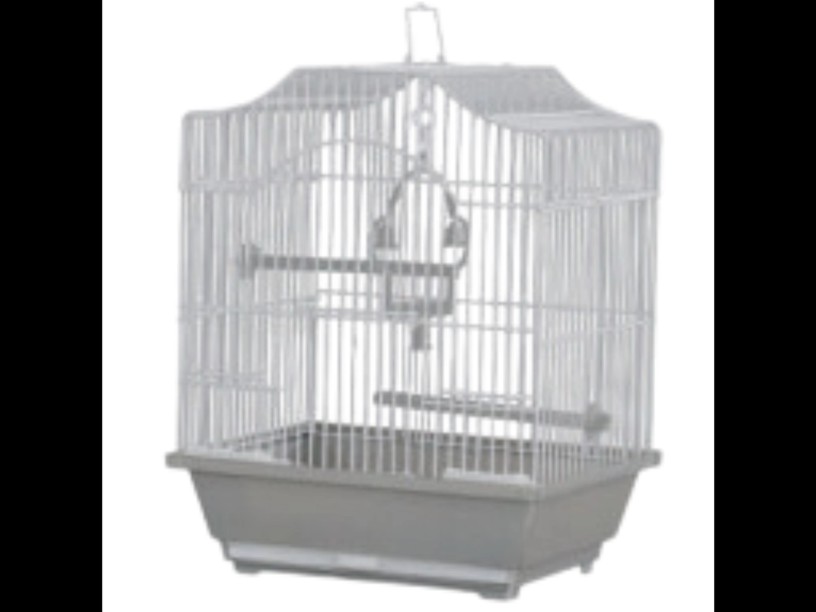 SP-2816 JAULA AVES AVY BOX 
IMPORTADA