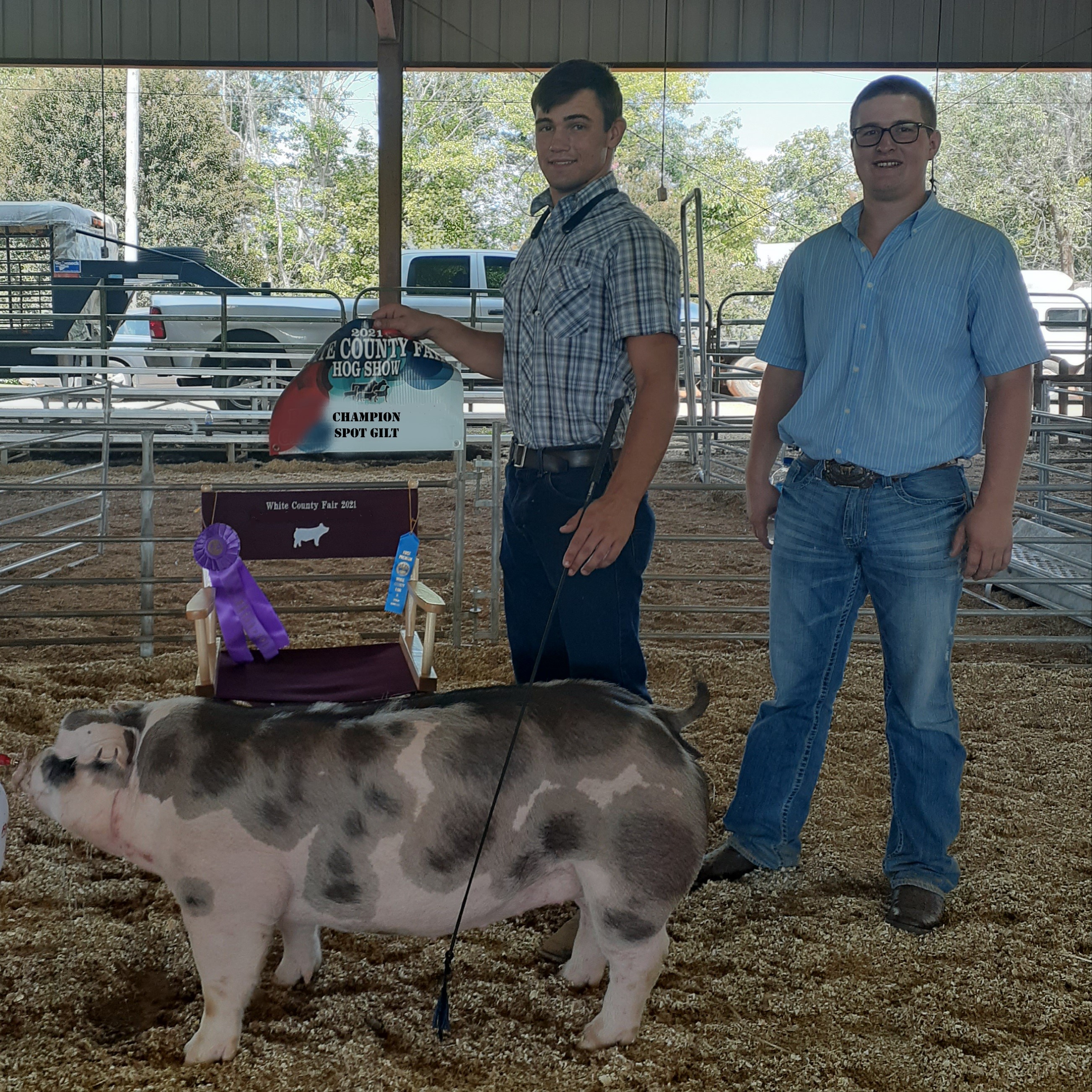 Kalan Lusk
2021 White County Fair
Champion Spot Gilt