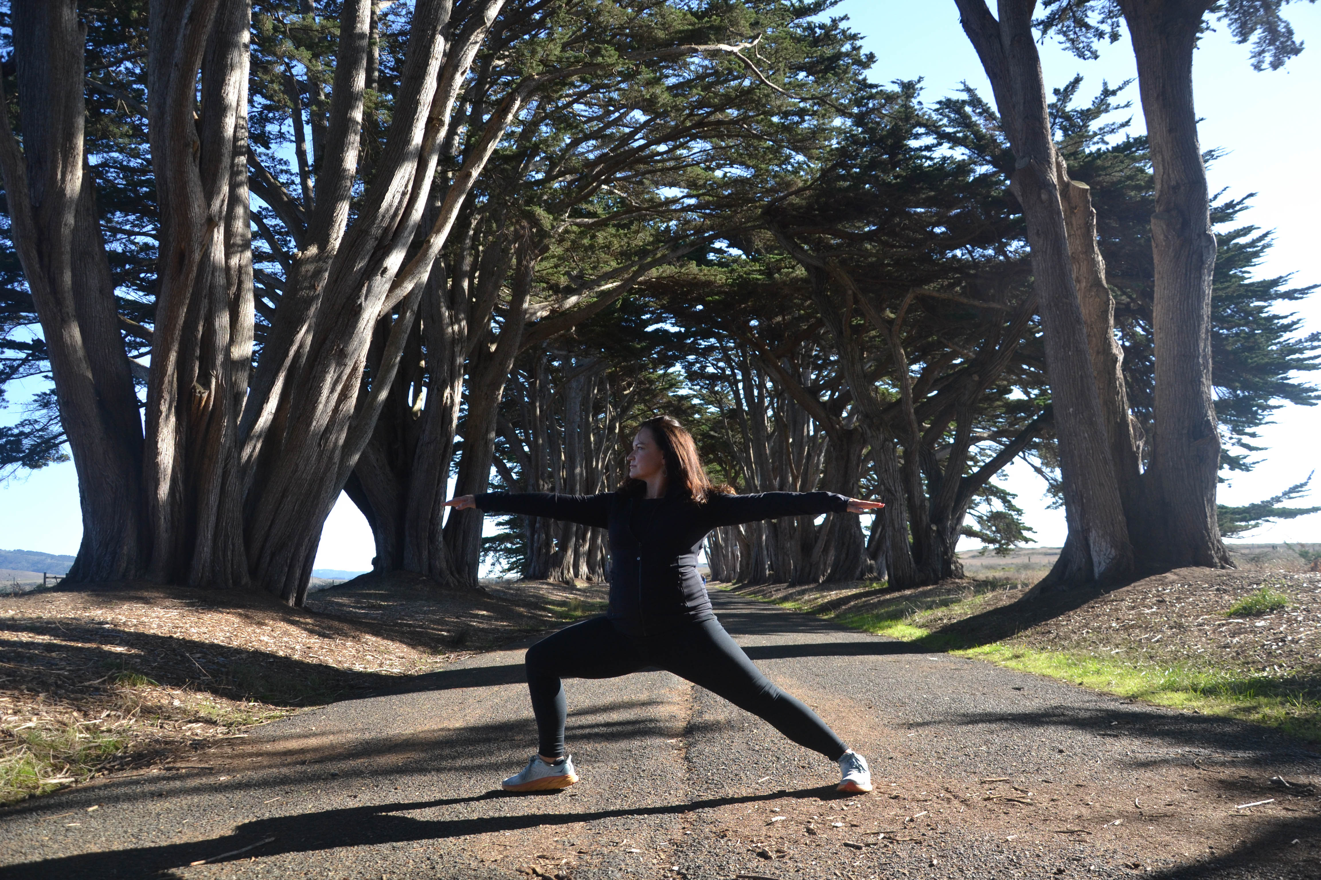 https://0201.nccdn.net/1_2/000/000/0e4/e1e/san-fran-order-2-114.jpg
