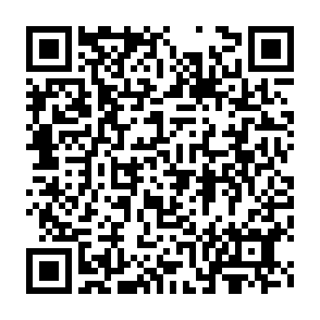 Imagen de logotipo de muestra