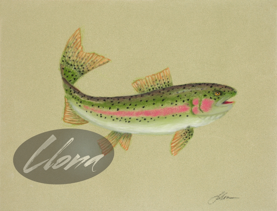 Rainbow Trout 2019
Original Pastel Painting
9" x 12"