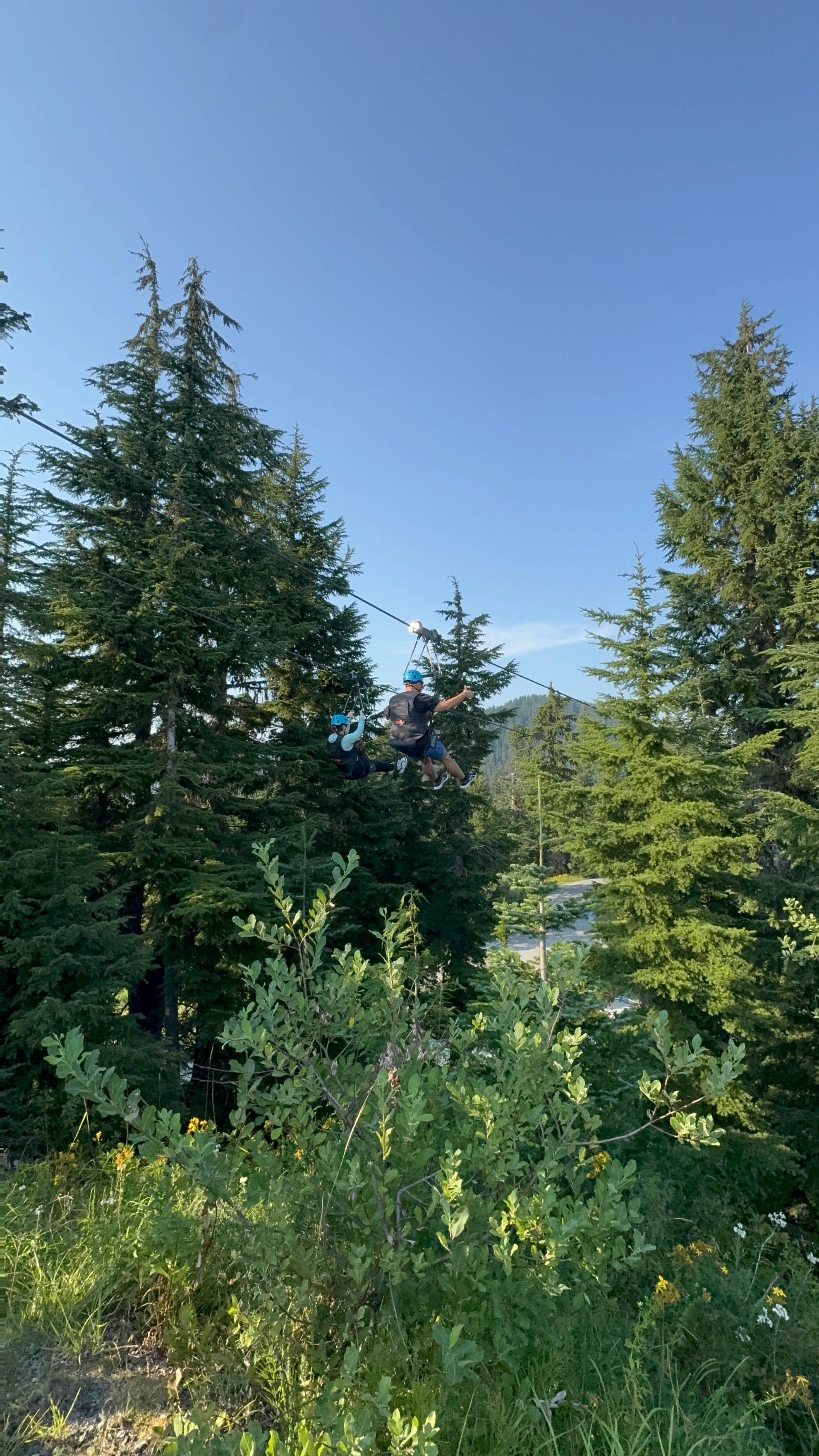 https://0201.nccdn.net/1_2/000/000/0e5/388/vancouver-order-134.jpg