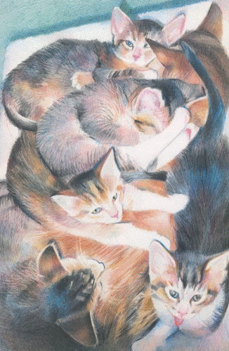 SOFA 2009 Kittens Rule OK! (11.5" x 7.5" coloured pencils) £275 - available from Llewellyn Alexander Gallery