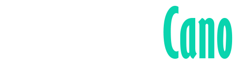Cajas de velocidad estándar -  Refacciones Cajas Estándar Cano