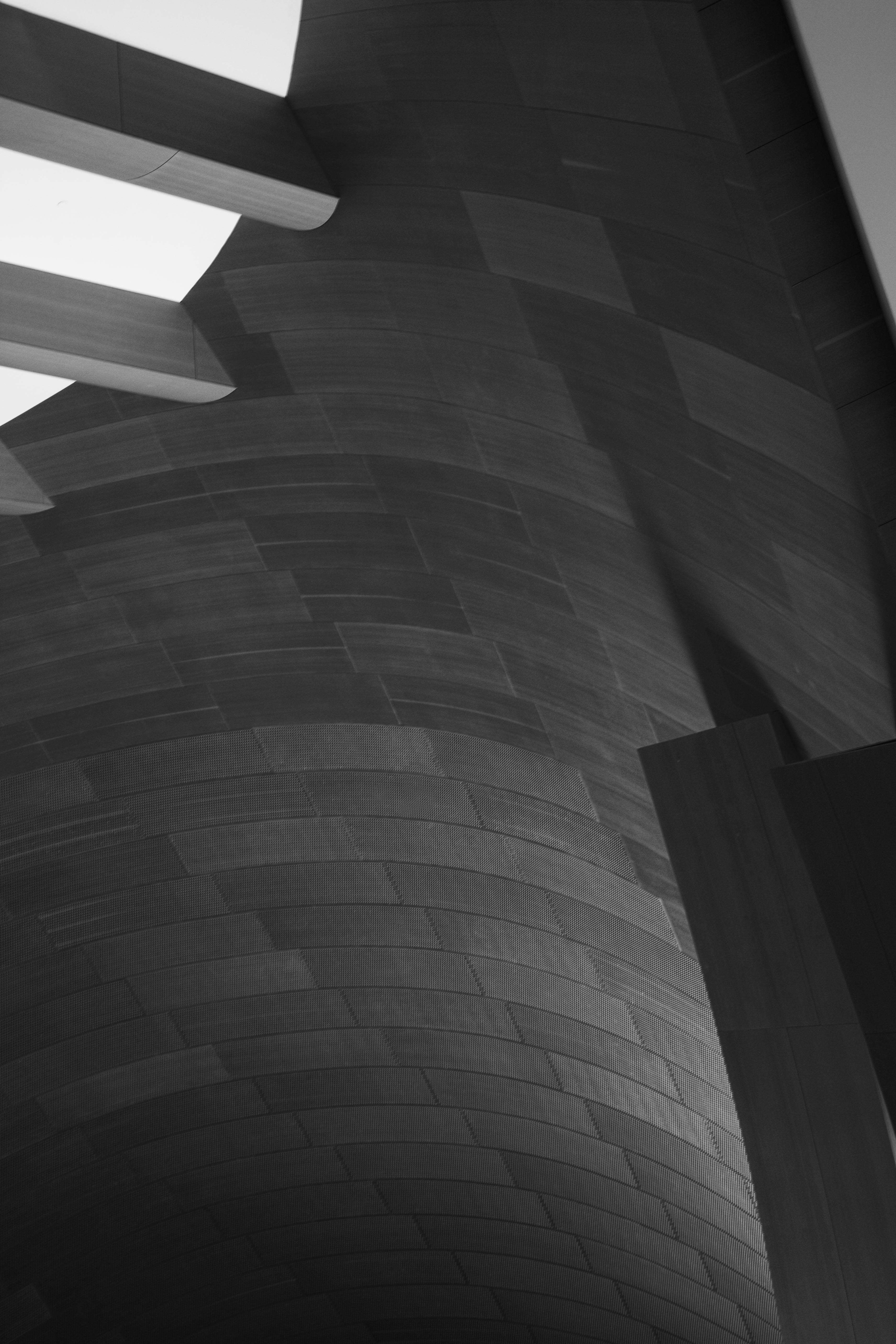 Disney Concert Hall Beams