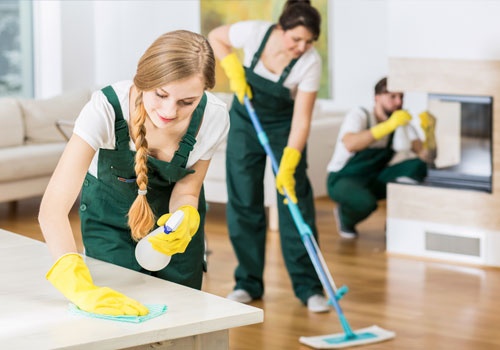 Cleaning Services