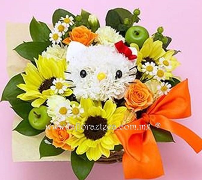 LFA-FF004
Precio $980