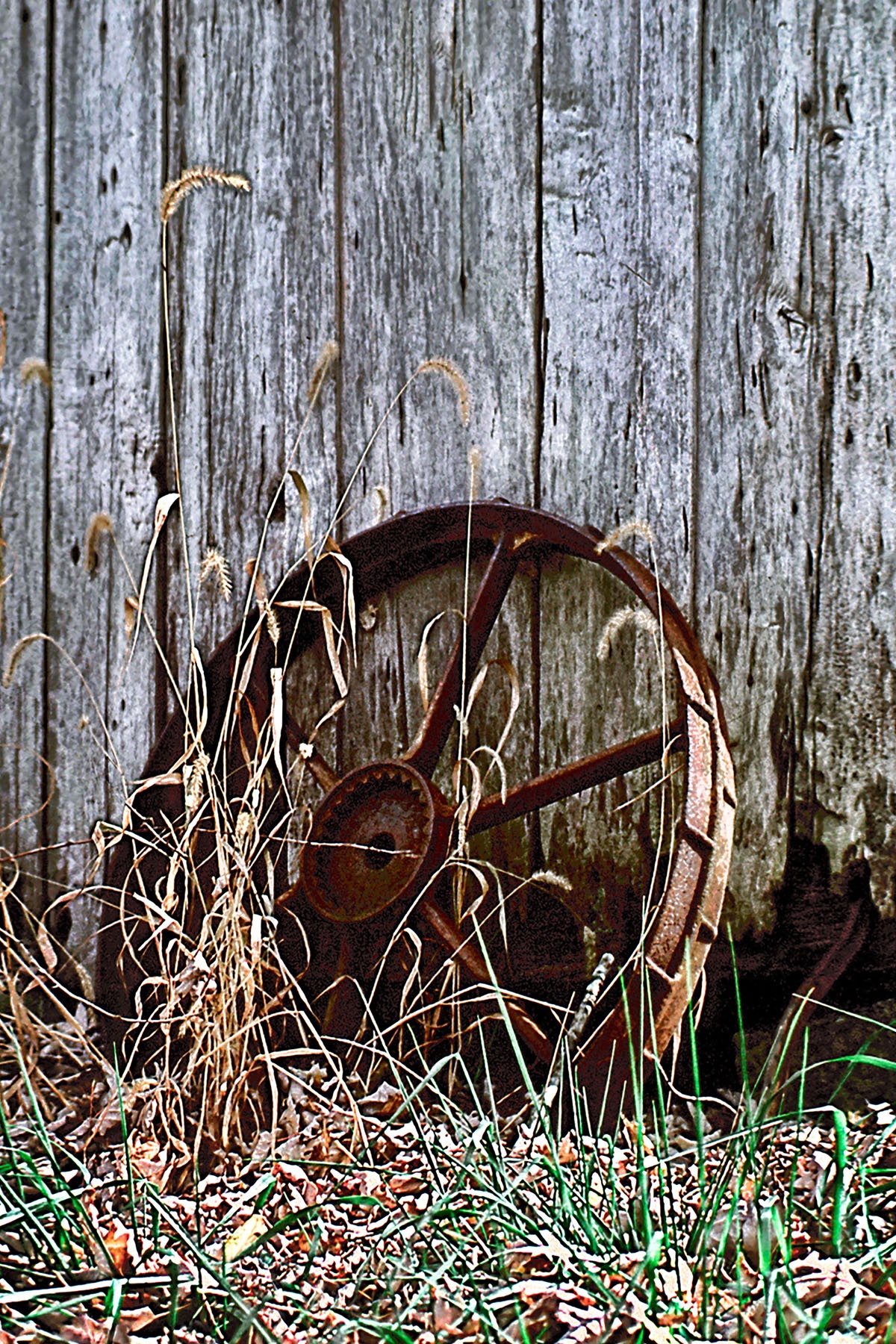 FOUND A WHEEL - I came across this old wheel laying against this old barn down in central Kentucky. I don’t know... just something about it.