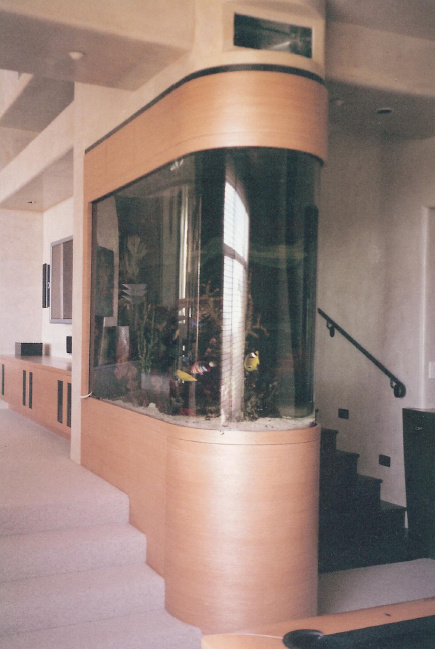 Custom Aquariums and Beautiful Fish Tank Designs