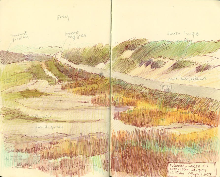 Pescador Marsh, Highway 1