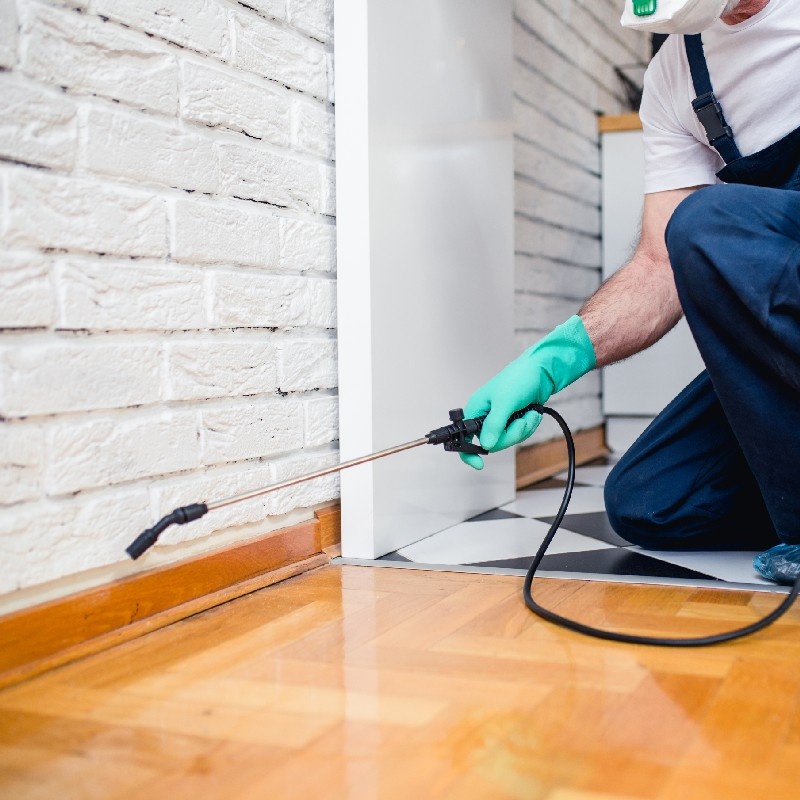 Commercial Pest Control Residential Pest Control