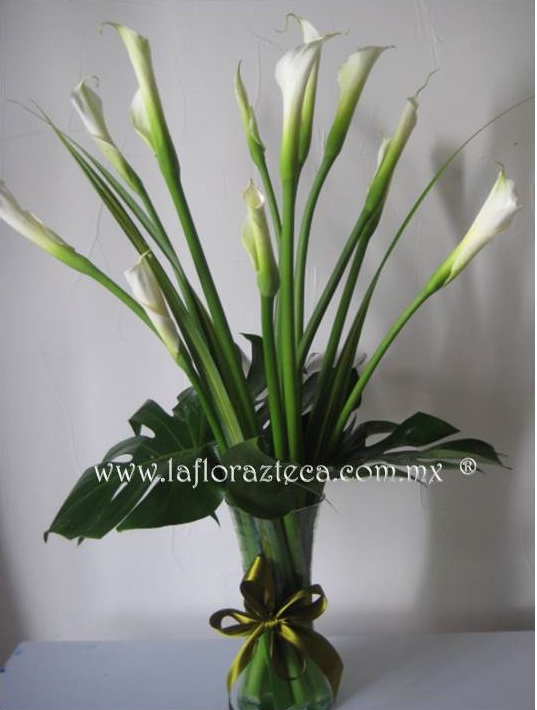 LFA-W003
Precio $1,145