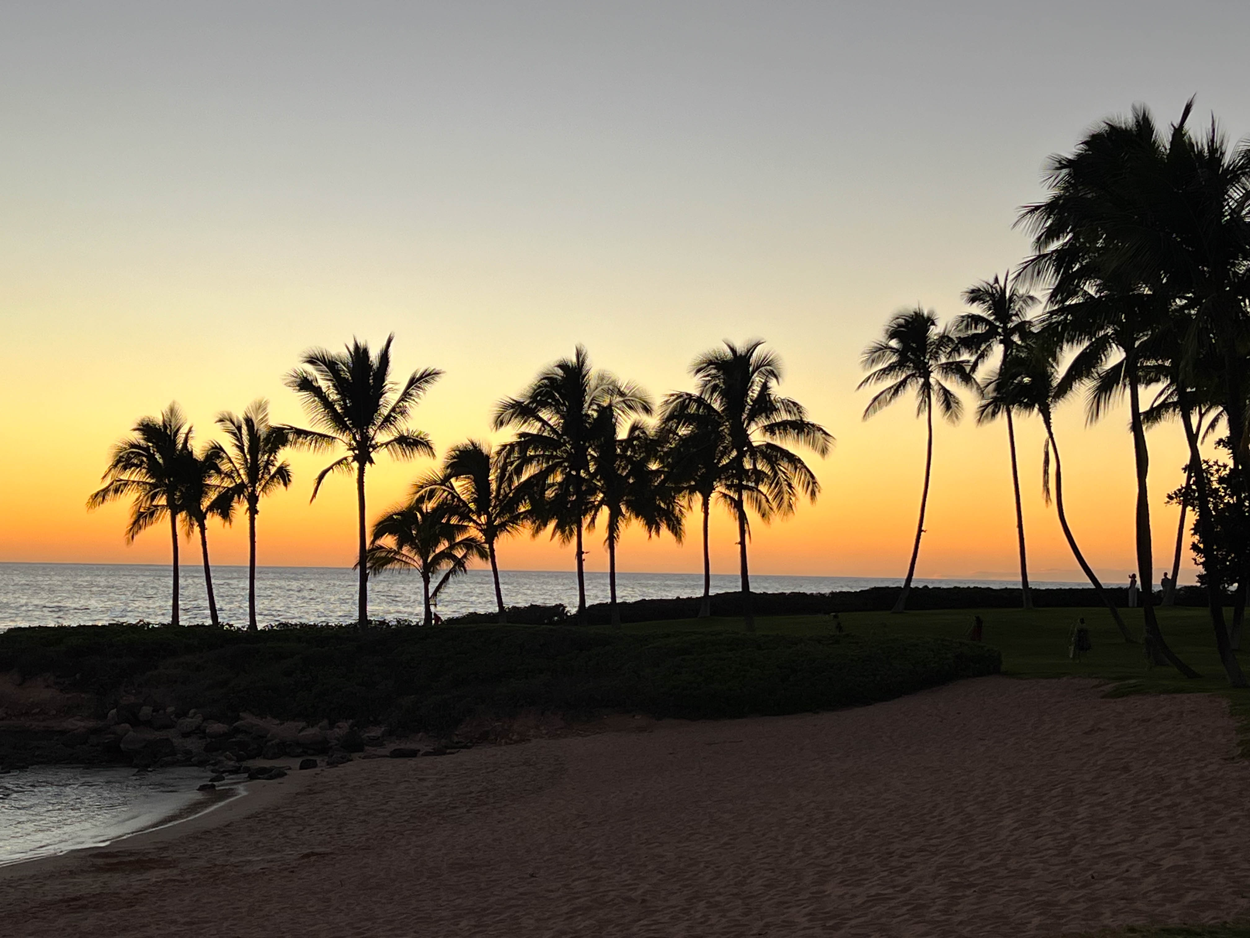 https://0201.nccdn.net/1_2/000/000/0e7/794/hawaii-order-35.jpg
