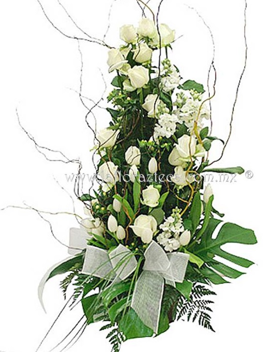 LFA-W015 Diseño en Escalera
Precio $1,845