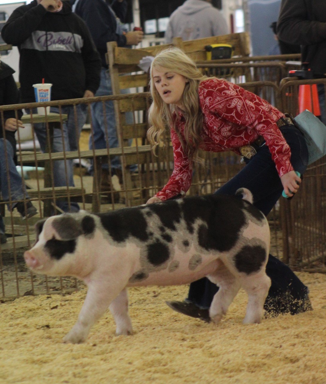Emily Cline
Second in Spot Breed Class
2020 Frost Bite Jackpot Show