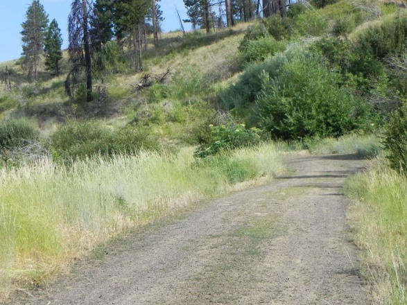 Stop 1: Slide area on  Road. #50591 in the Mica Creek subwatershed.
TAP:  IDT Evaluate, permittee coordination, special use easement
