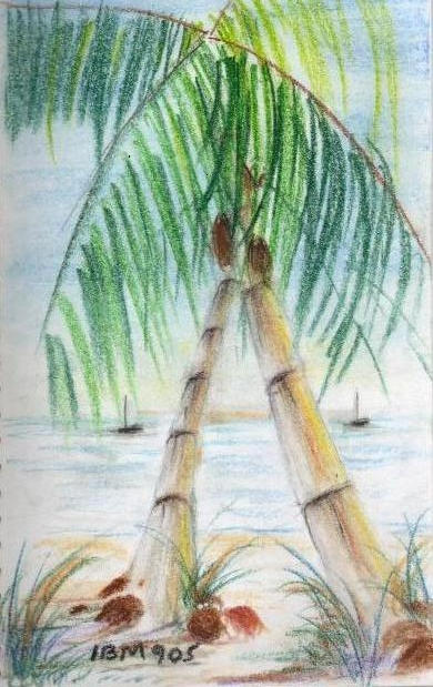 Palm-Trees-2