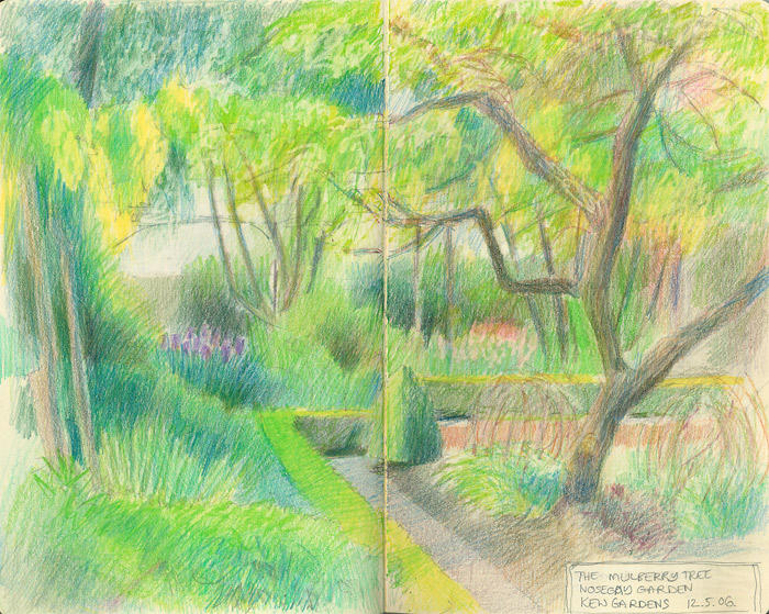 Mulberry Tree in the Nosegay Garden, Kew