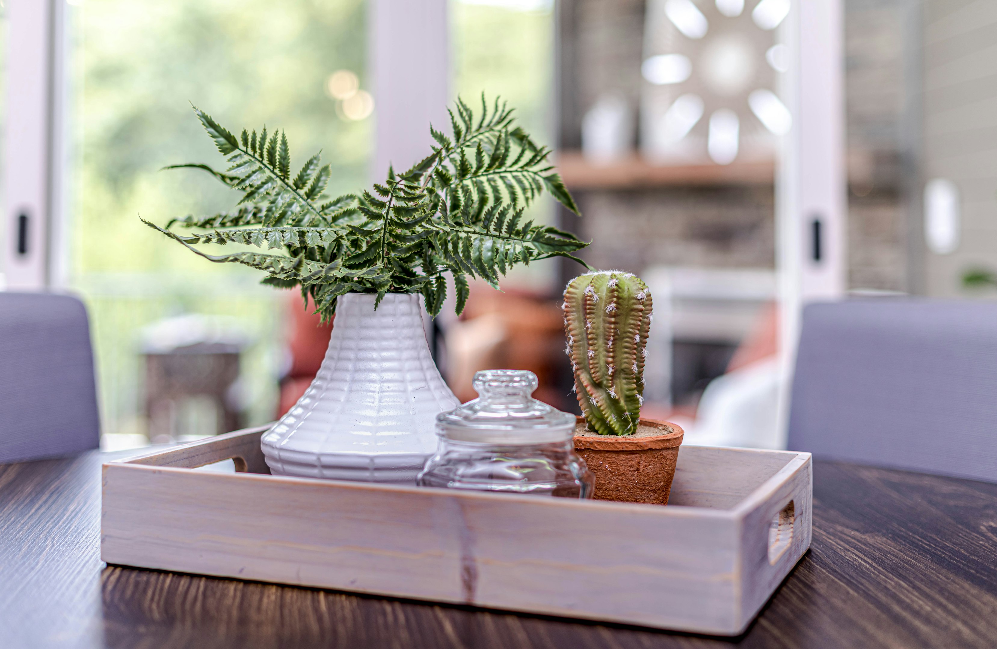 Wooden tray with a white vase of ferns, a cactus in a small pot, and a glass jar on a dark wood table, set in a sunlit living room.
