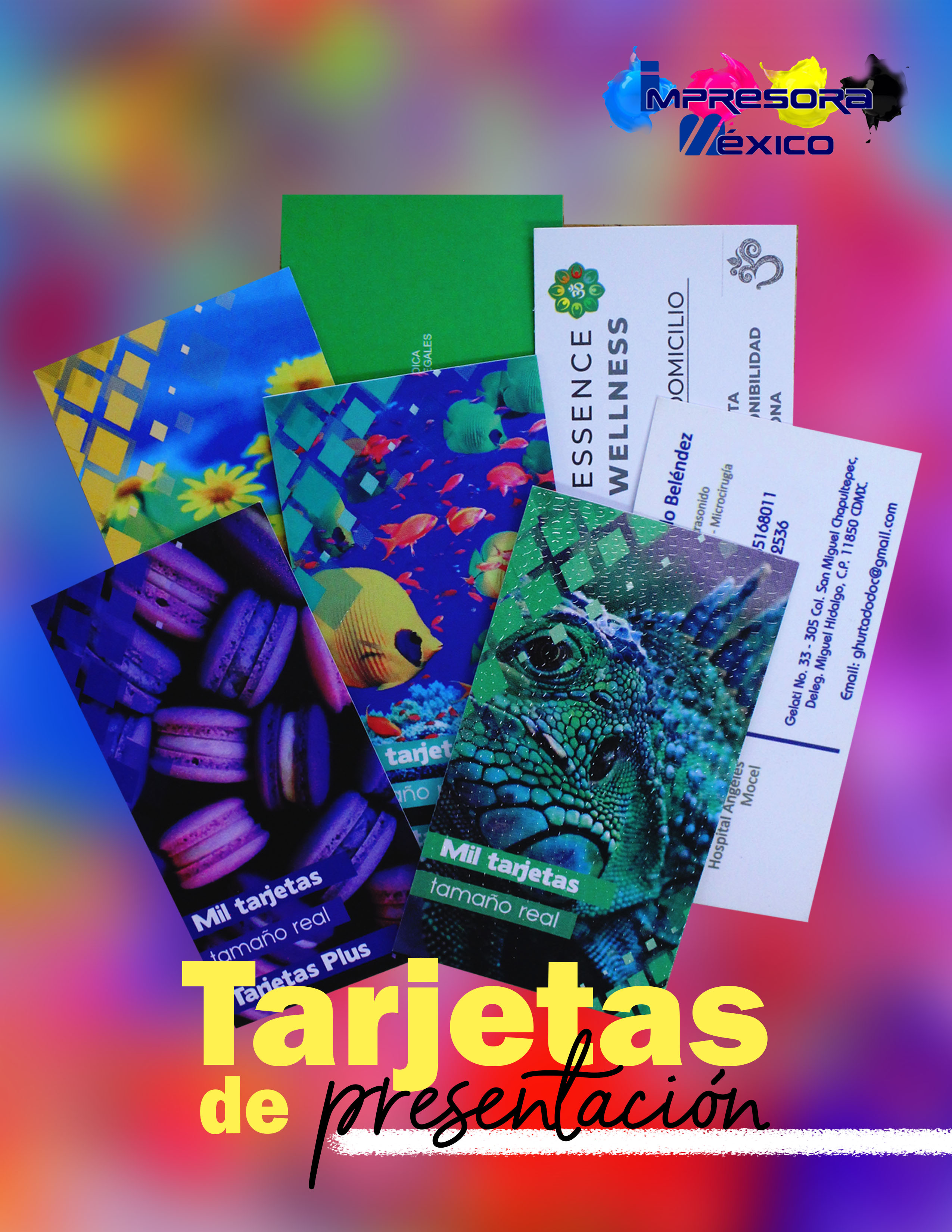 Apparel store interior