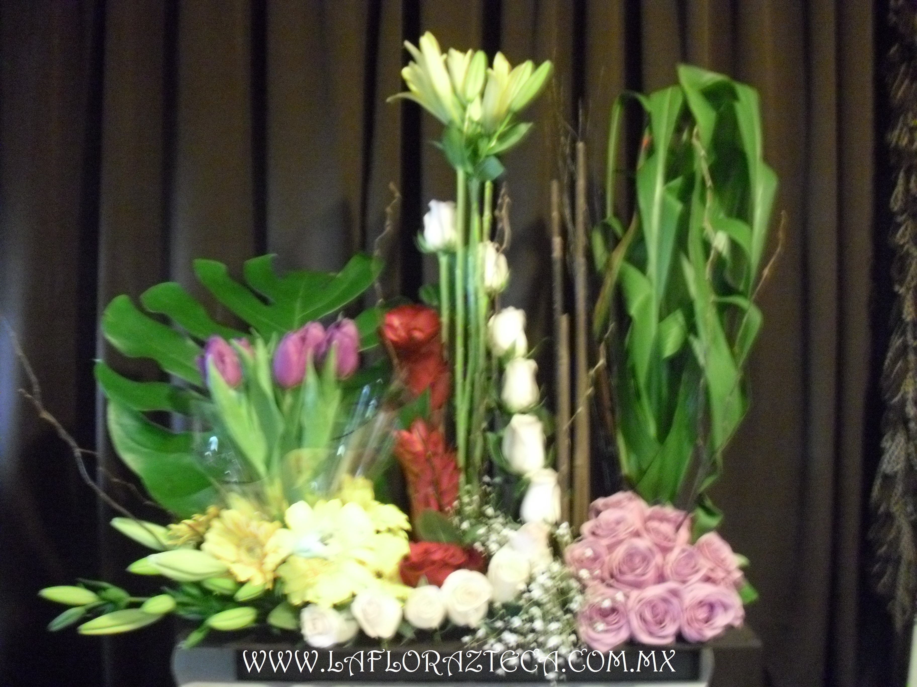 LFA-DA011 Diseño de Agrupaciones
Precio $1,990