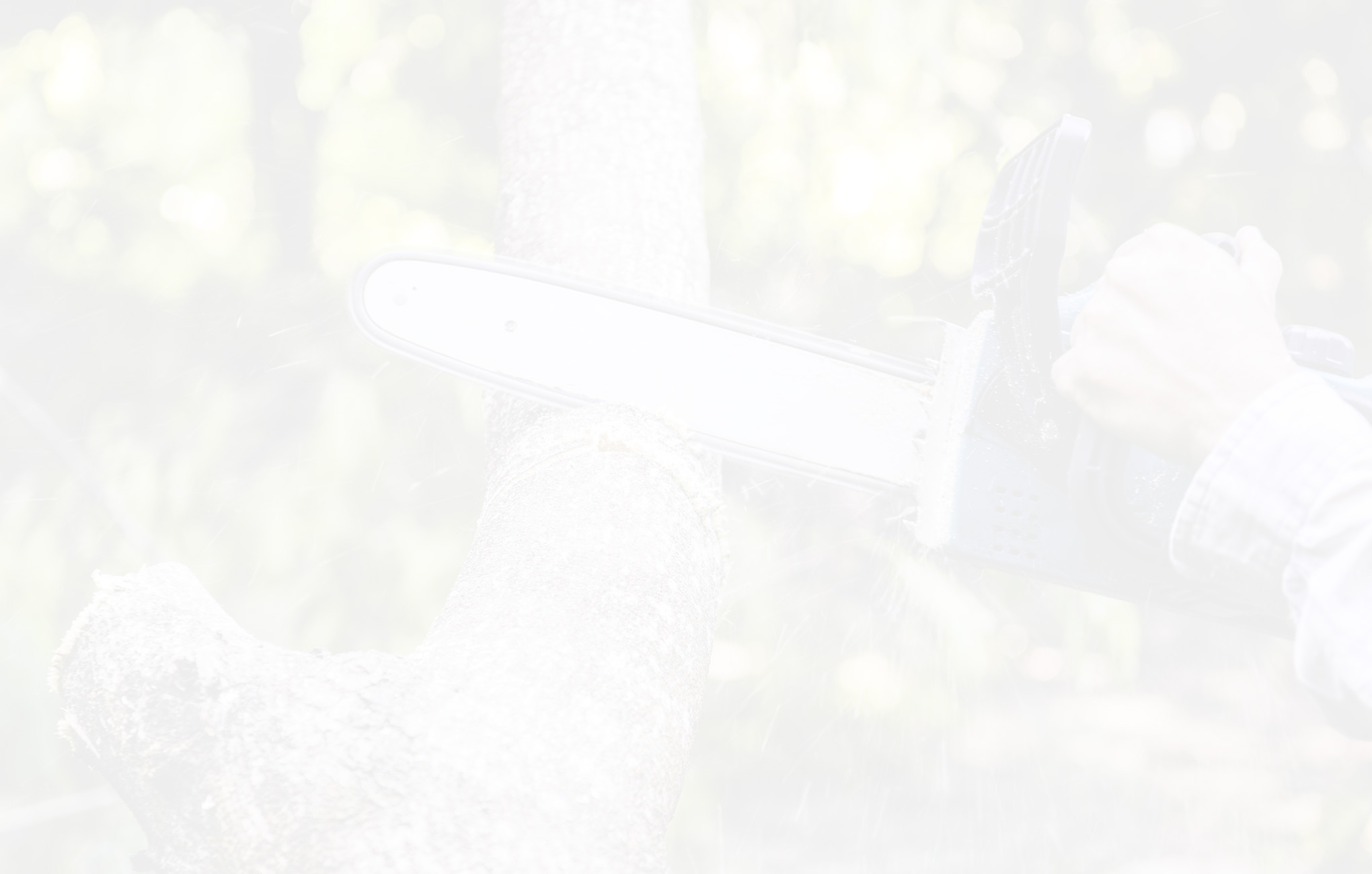 Skywalker Tree Co gallery 3