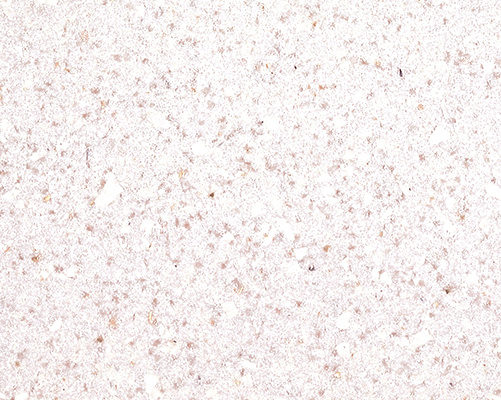 https://0201.nccdn.net/1_2/000/000/0e9/f34/Arcadia-501x400.jpg