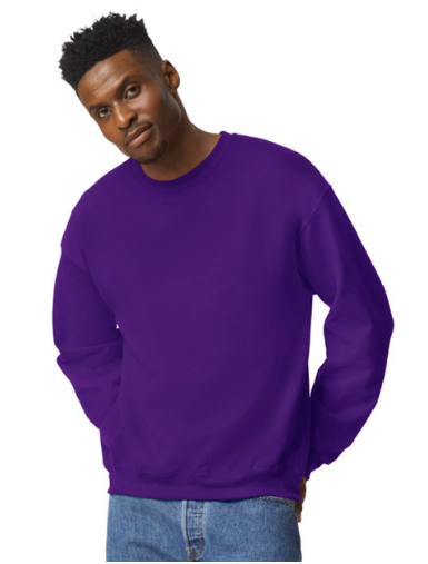 SUDADERA BASICA ADULTO