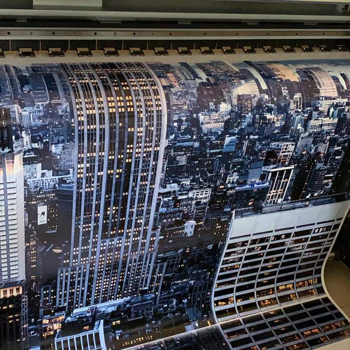 Espaciosa oficina moderna con escritorios grises, sillas ergonómicas y plantas decorativas, iluminada por luz natural a través de amplias ventanas.