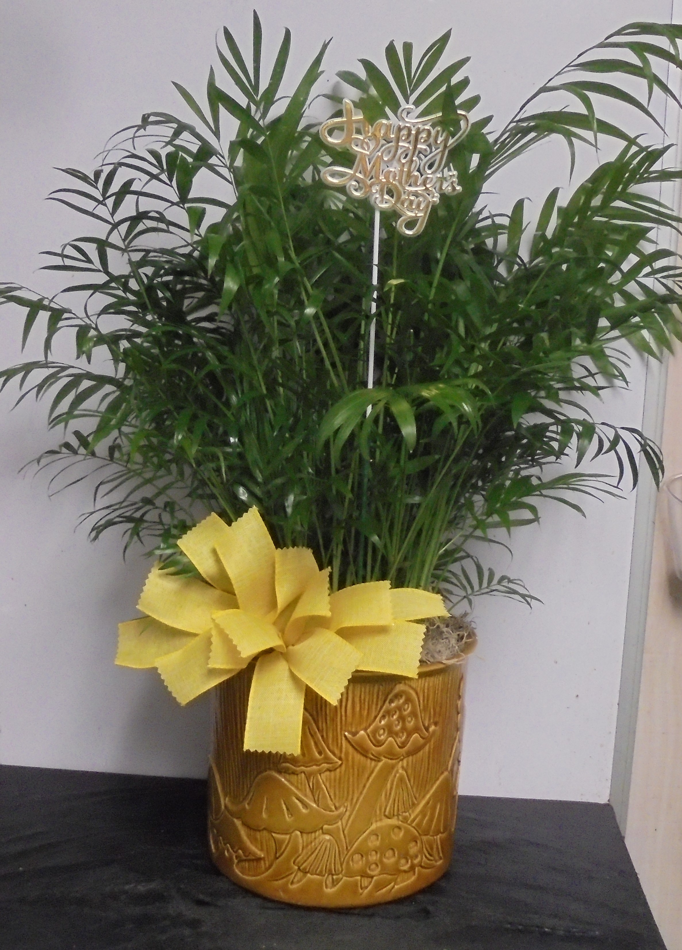 (30) "Palm" Plant In 
"Vintage" Haeger Mushroom Planter
$80.00
