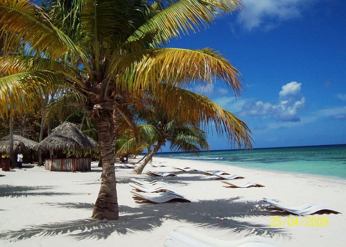Playa tropical con palmeras, sillas de playa blancas y cielo despejado en día soleado.