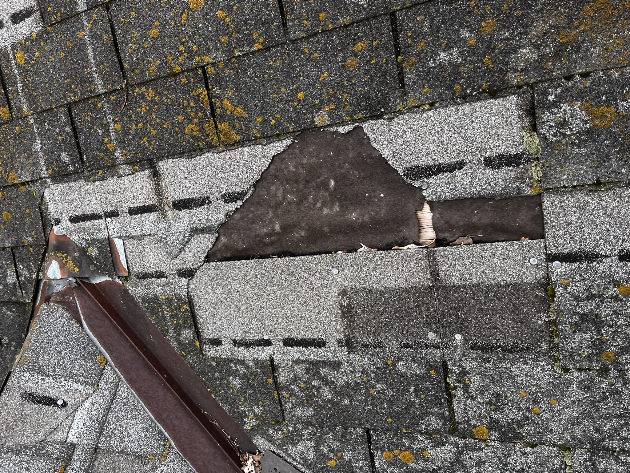 Blown off shingles (Wind Damage)