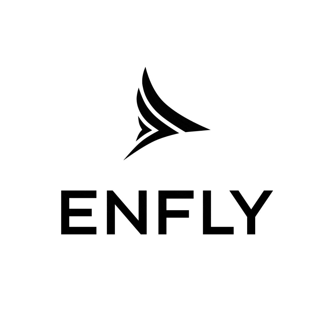 ENFLY  