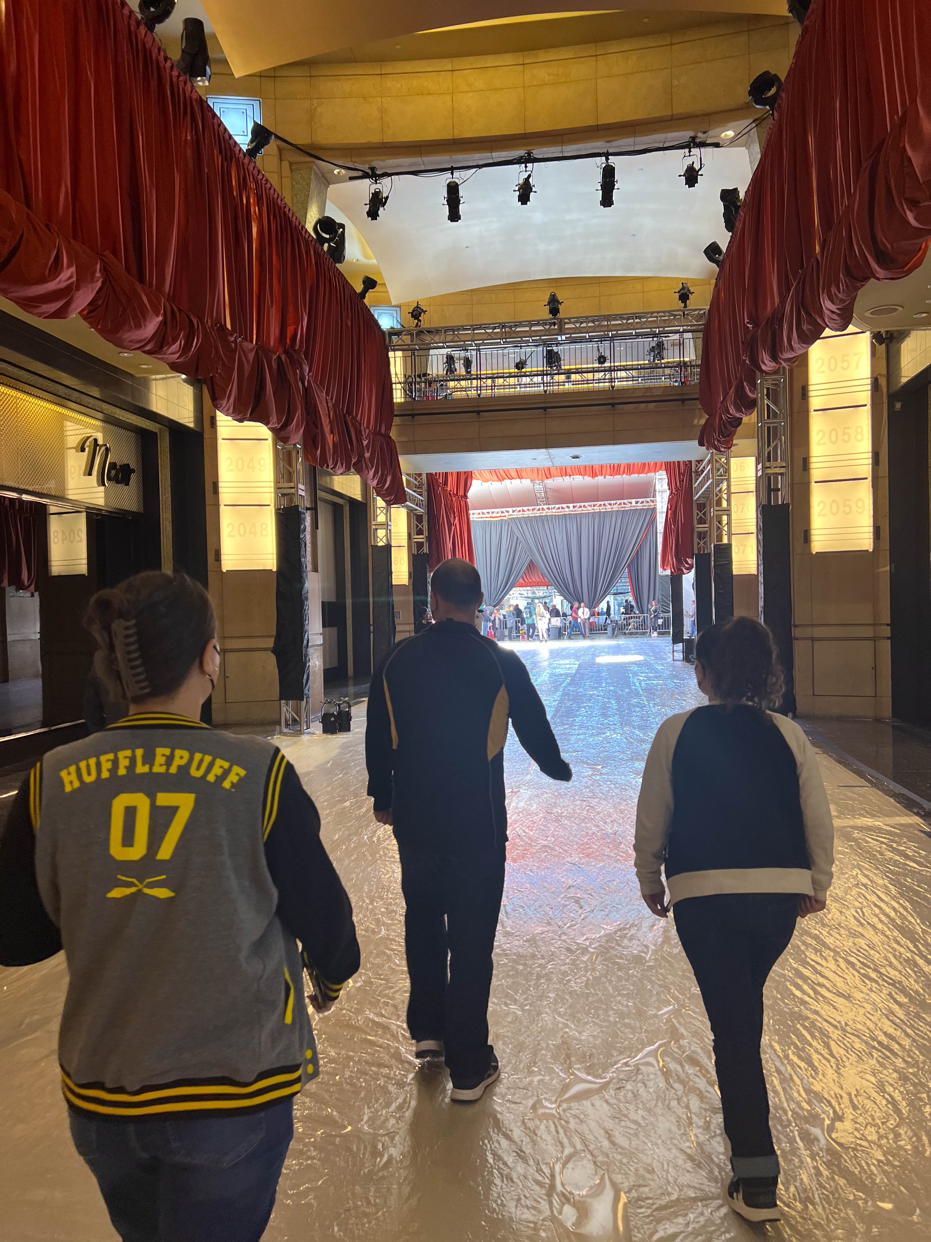 We walked the Red Carpet for the Oscars