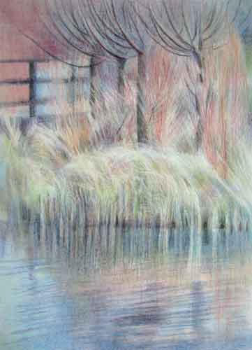 Ecology Park Pond Series #9 - Willows and Grasses - 21st January 2009 