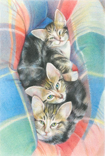 Life/Feline Art: Meet the Kittens