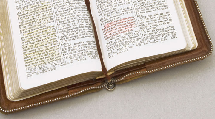 Ediciones Apóstoles de la Palabra  - BIBLIAS
