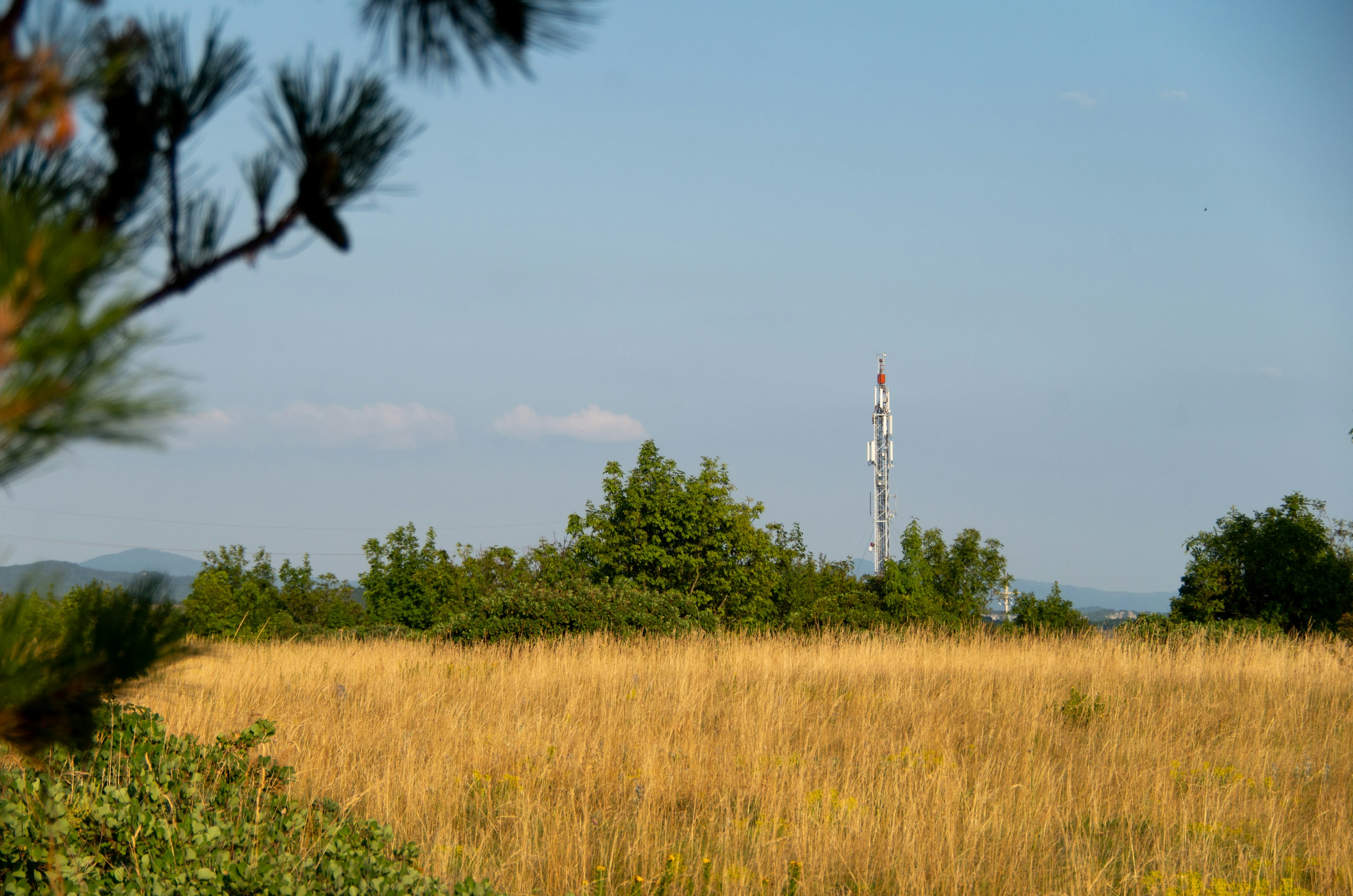 un campo con una torre de radio a la distancia