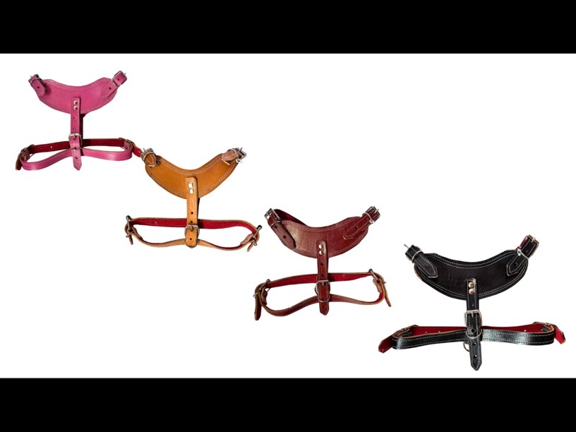 PECHERA PIEL REFORZADA 
COLORES