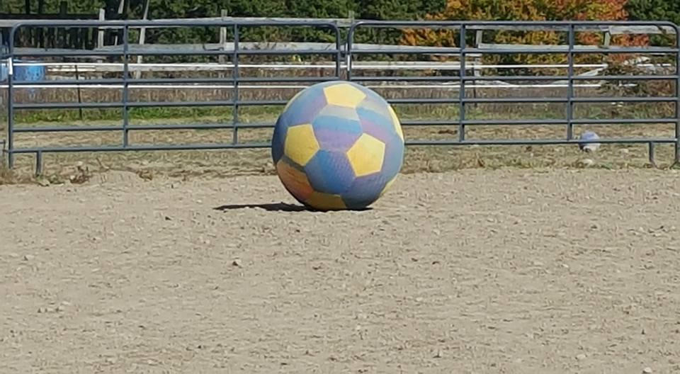 Obstacles for a Positive Way Play Day