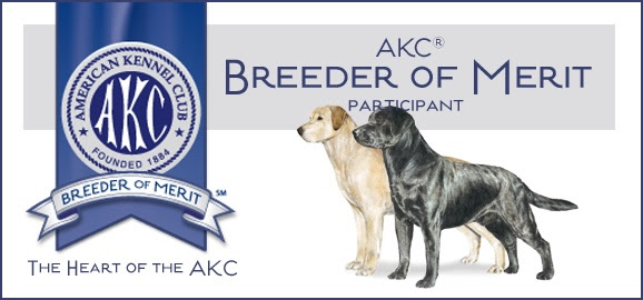 AKC Breeder