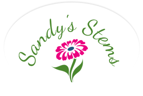 www.sandysstem.com