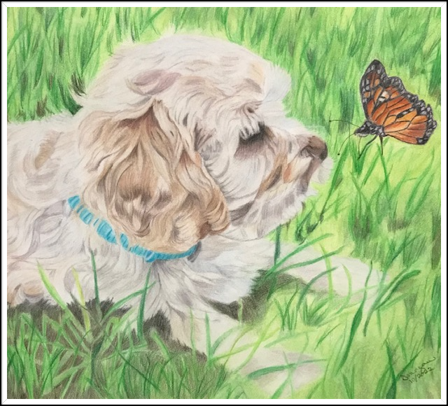 Tobi
8x8
Hot Press Watercolor Paper