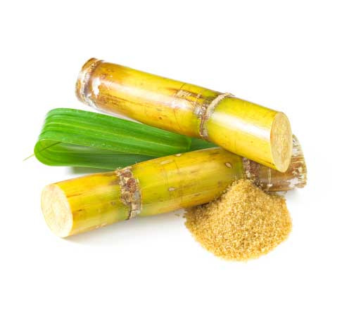 Unión Local de Productores de Caña de Azúcar del Ingenio El Higo A.C. - productores de azúcar de caña Unión Local de Productores de Caña de Azúcar del Ingenio El Higo A.C. - productores de azúcar de caña