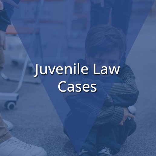 https://0201.nccdn.net/1_2/000/000/0ed/9a2/juvenile-law-cases_h.jpg