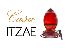 itzaemx.com.mx
